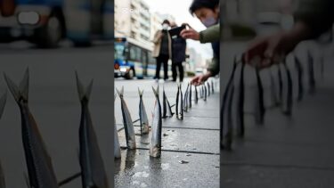 謎の異常気象3選#ニュース