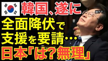 【海外の反応】日本から爆弾発言‼緊急SOSで隣国がついに日本に支援を要請…【にほんのチカラ】