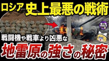 【ゆっくり解説】ウクライナ軍の反攻を阻むロシア軍の大地雷原戦術を徹底解説