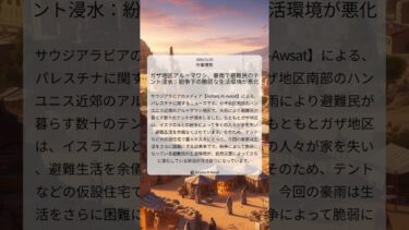 ガザ地区アル＝マワシ、豪雨で避難民のテント浸水：紛争下の脆弱な生活環境が悪化｜Asharq Al-Awsat｜2025/11/25｜中東情勢