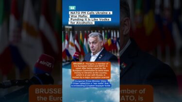 NATO PM: FUNDING UKRAINE IS ‘VODKA FOR ALCOHOLICS’! 🚨 #Shorts #YouTubeShorts