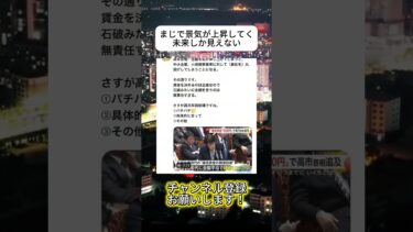 まじ期待#ニュース #日本政治 #日本 #海外の反応 #自民党 #衝撃の事実 #高市早苗 #経済 #小野田紀美 #twitter