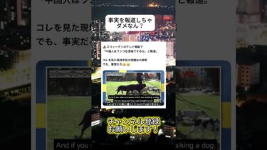 うんこマンだ！#ニュース #日本政治 #日本 #海外の反応 #自民党 #衝撃の事実 #高市早苗 #経済 #小野田紀美 #twittertrends