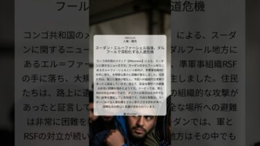 スーダン・エル＝ファーシェル陥落、ダルフールで深刻化する人道危機｜Africanews｜2025/11/02｜人権・難民