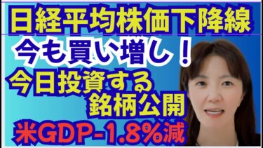 世界が注目する「NVIDIA」の決算で暴落？有名な投資家マイケル・バーリ氏が株を売り、空売りを仕掛けた。コメ最高値・卵高騰・米GDP急落・サカナAI4000億・米関税でGDP-1.8%の衝撃