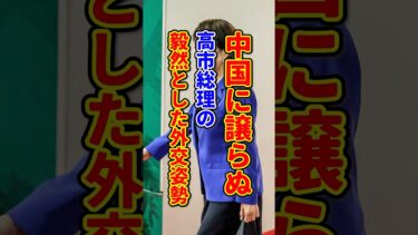 中国に譲らぬ、高市総理の毅然とした外交姿勢 #高市早苗 #高市総理 #G20 #中国 #存立危機事態