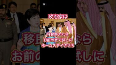 小池百合子へ、移民はお前の家でホームステイさせとけ