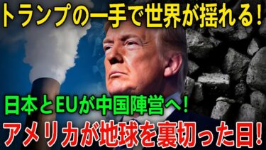 世界が驚愕！地球温暖化どころじゃない！トランプのエネルギー政策が招く地政学の逆転！日本とEUが中国陣営へ！世界が分断される「エネルギー新冷戦」勃発！ニュース深層解説