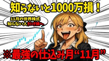 【見るだけで差がつく】11月だけ世界が歪む本当の理由…あなたのオルカンが狙われる日【ゆっくり解説】