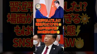 習近平さん、もはや見てられないw #習近平, #中国ニュース, #国際情勢, #話題沸騰, #SNS反応, #shorts #short #2ch #5ch