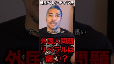 【細川バレンタイン】外国人移民問題について#政治 #高市早苗 #立憲民主党 #細川バレンタイン