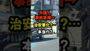 #外国人犯罪 #治安 #移民政策 #交通事故 #議論 #社会問題  #中国人ドライバー #統計データ #印象操作 #SNS議論 #ニュース #時事問題