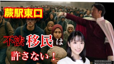 【河合ゆうすけ✕ふじわらちかこ】移民反対!!　街頭演説　蕨駅東口