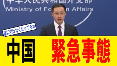 【朗報】日本に中国人か来なくなることが決まり国内大歓喜！