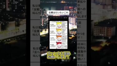 ダブスタが多すぎる　 #ニュース #日本政治 #日本 #海外の反応 #自民党 #衝撃の事実 #高市早苗 #経済 #小野田紀美 #twitter