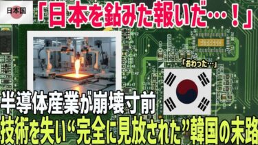 【海外の反応】「日本をナメた結果…」韓国の半導体産業が崩壊寸前！技術依存のツケが今きた…！