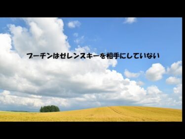 第8402回　ウクライナ戦争　プーチンはゼレンスキーを相手にしていない　2025.11.30