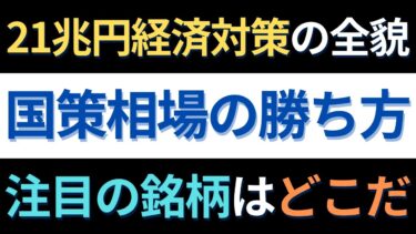 閣議決定21.3兆円を利益に変える！半導体・AIの次に狙うべき「国策の穴場」と投資戦略｜ニュース分析