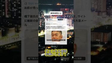 因果応報 #ニュース #日本政治 #日本 #海外の反応 #自民党 #衝撃の事実 #高市早苗 #経済 #小野田紀美 #twitter