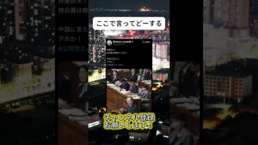 意味がないよ#ニュース #日本政治 #日本 #海外の反応 #自民党 #衝撃の事実 #高市早苗 #経済 #小野田紀美 #twitter