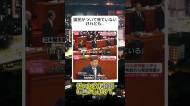 ワンマン政治やん#ニュース #日本政治 #日本 #海外の反応 #自民党 #衝撃の事実 #高市早苗 #経済 #小野田紀美 #twitter