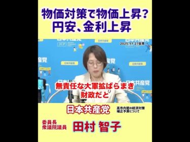 インフレ加速の危機！政府の経済対策、補正予算案 #日本共産党 #田村智子