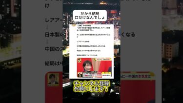 口だけでしょ#ニュース #日本政治 #日本 #海外の反応 #自民党 #衝撃の事実 #高市早苗 #経済 #小野田紀美 #twitter