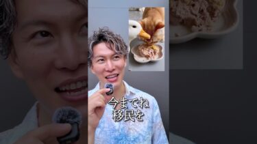 日本人が移民を嫌がる理由がじょうずに可視化された！ #移民問題