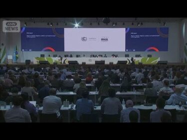 COP30合意文書を採択　「化石燃料の脱却」は記載見送り(2025年11月23日)