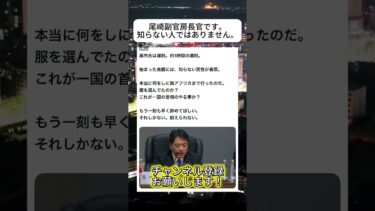 変な指摘やめよっか#ニュース #日本政治 #日本 #海外の反応 #自民党 #衝撃の事実 #高市早苗 #経済 #小野田紀美 #twitter