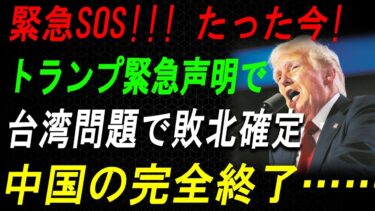 【国際ニュース】トランプ前大統領が台湾情勢に言及！中国が揺れる“発言の波紋”とは？