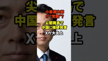 #小泉進次郎 #尖閣諸島 #防衛大臣 #中国 #外交 #覚醒スンジロー #日本の領土 #国際ニュース #政治 #政治ニュース #政治系チャンネル #自民党