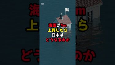 海面が1メートル上昇したら日本はどうなるのか#地球温暖化 #海面上昇 #水没 #雑学