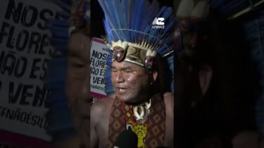 Indigenous groups storm climate talks
