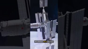 Inside China’s New Space Mission: Mice in Orbit!