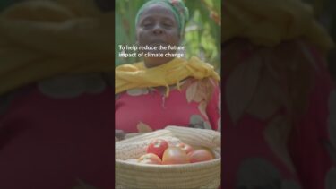 Ireland supports the most vulnerable people to meet the challenges posed by