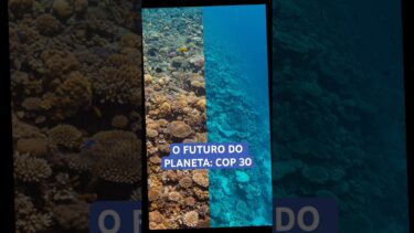 O que é a COP 30?