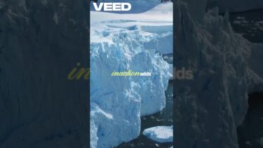 “The Hidden Costs of Ignoring Climate Policy”