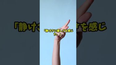 外国人が驚いた日本の抹茶点て