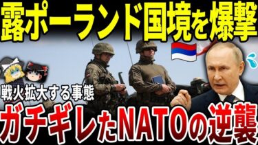 【ゆっくり解説】ロシア蛮行にNATOブチギレ！ポーランド国境の都市リヴィウ空爆で戦火拡大へ。