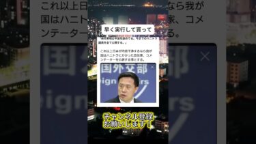 いつやるんですか?#ニュース #日本政治 #日本 #海外の反応 #自民党 #衝撃の事実 #高市早苗 #経済 #小野田紀美 #twitter