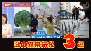 謎の異常気象3選