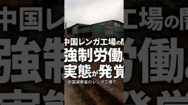 中国レンガ工場の闇 強制労働の実態が発覚！　#国際ニュース #中国ニュース #強制労働 #人権侵害 #最新ニュース #報道番組
