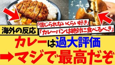 【海外の反応】『日本のカレーは過大評価？』という投稿に、「世界で一番好きなカレー」「これのためなら戦う」など、日本のカレーに衝撃を受けただけでなく、『カレーパン』の美味しさも絶賛する海外の反応集