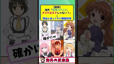 【海外の反応】なぜ日本アニメはメイドだらけ？理由に爆笑