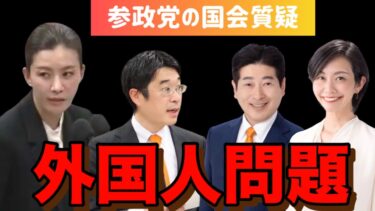【外国人問題】国会が、こんなに面白いなんて思わなかった！！【参政党】#移民問題