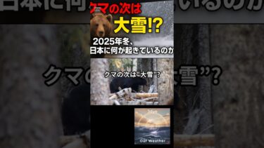 クマの次は“大雪”!?#大雪 #2025年冬 #天気予報 #気象情報 #ラニーニャ傾向 #日本海側大雪 #南岸低気圧 #関東雪 #寒波 #冬将軍 #気象庁
