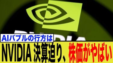 【市場激震】世界中でNVIDIA株に大きな動き。AIバブルの行方は…