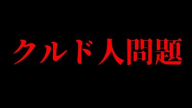 【この動画だけでわかる！】クルド人問題について解説