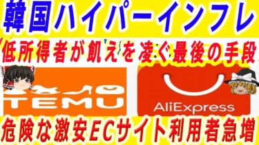 【ゆっくり解説】ハイパーインフレで飢えに苦しむ韓国人が怪しい激安EC通販アプリに飛びつくも阿鼻叫喚wー韓国速報